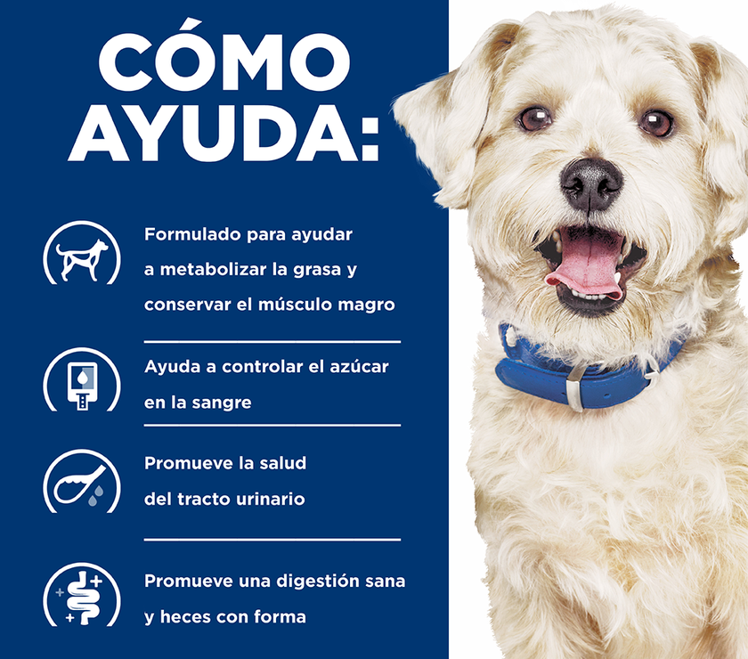 Hill's Prescription Diet w/d Aliemento Seco para Perro Manejo Peso/Glucosa