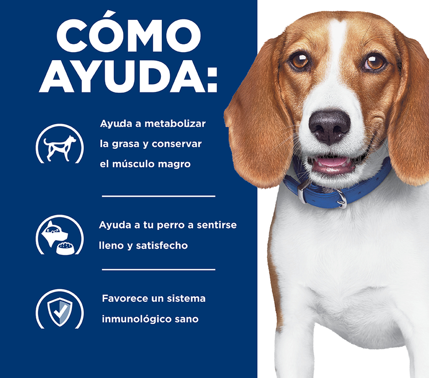 Hill's Prescription Diet r/d, Pérdida de Peso, alimento seco para perro