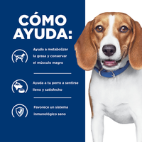 Hill's Prescription Diet r/d, Pérdida de Peso, alimento seco para perro