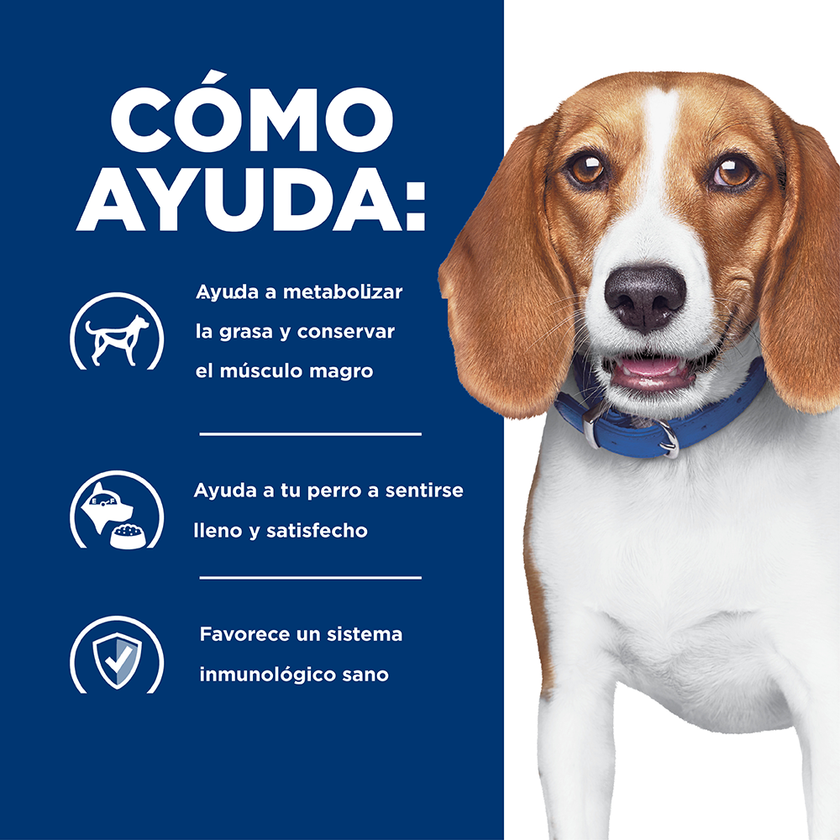 Hill's Prescription Diet r/d, Pérdida de Peso, alimento seco para perro
