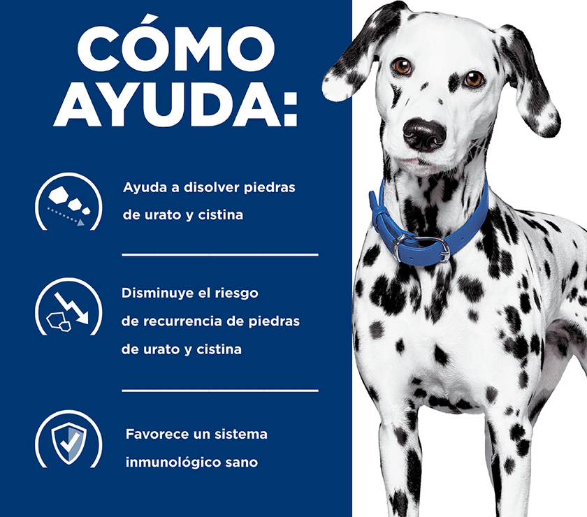 Hill's Prescription Diet u/d Concentrado para perro cuidado urinario 8,5 Lb (3,9Kg)