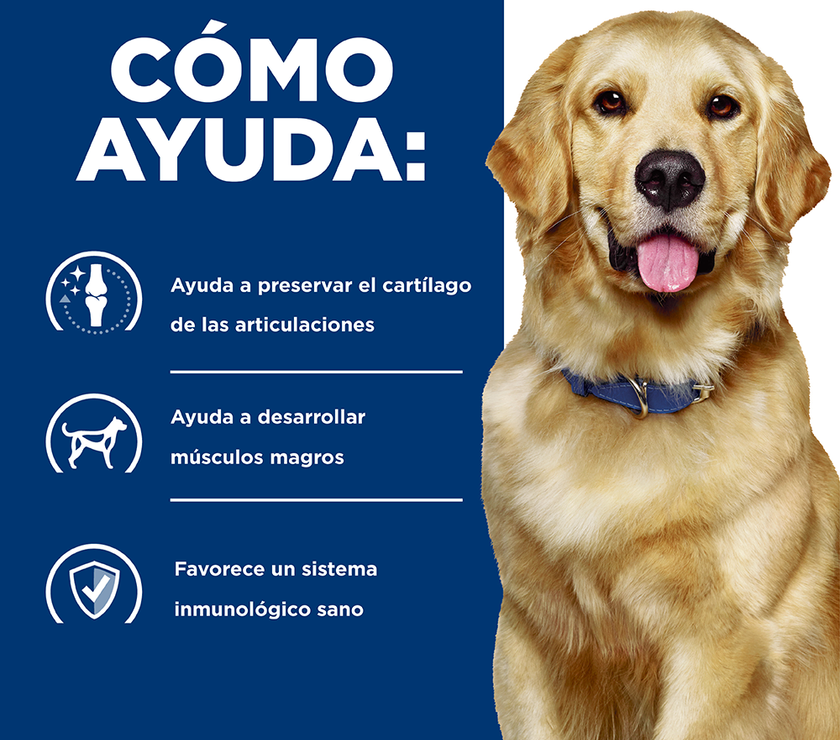 Hill's Prescription Diet j/d Concentrado para perro cuidado articular