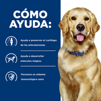 Hill's Prescription Diet j/d Concentrado para perro cuidado articular