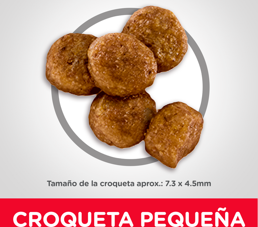 Hill's Science Diet Small&Mini alimento para perro cachorro raza pequeña y mini