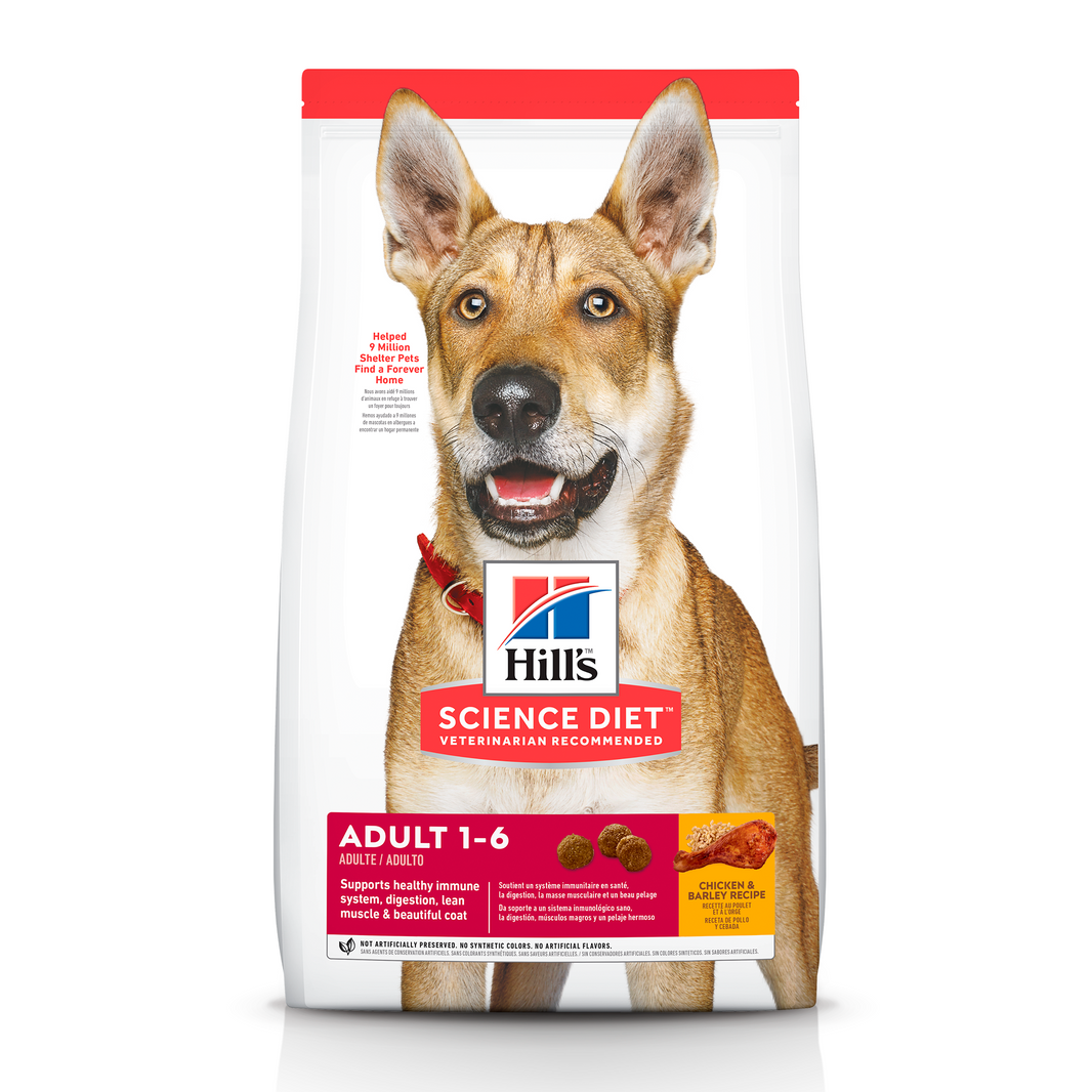 Hill's Science Diet Adult concentrado para perro adulto sabor pollo