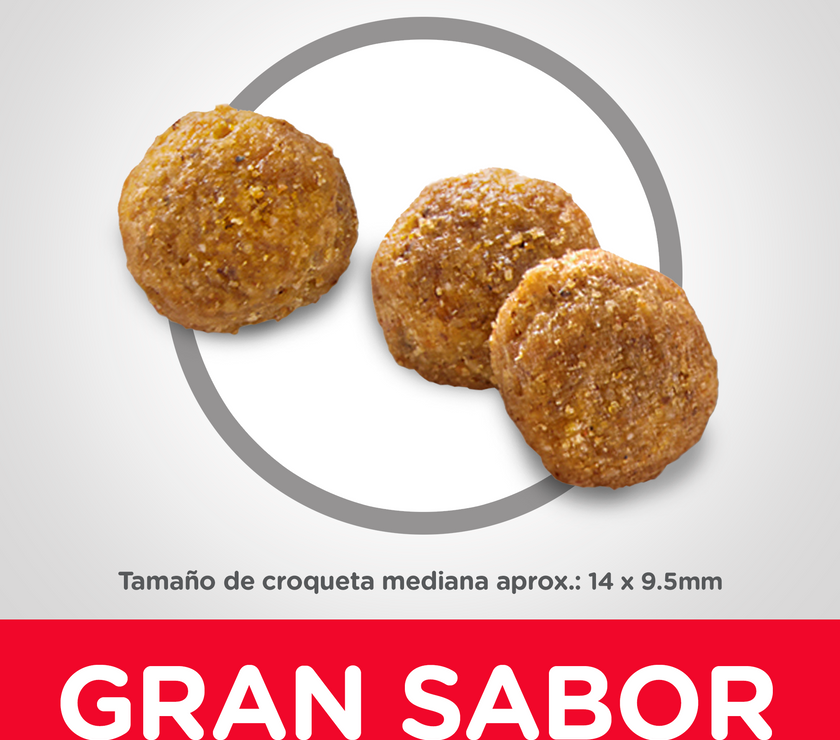 Hill's Science Diet Adult concentrado para perro adulto sabor pollo