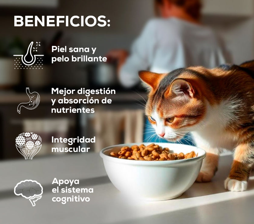 Comida para Gato Grandvita adulto