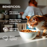 Comida para Gato Grandvita adulto