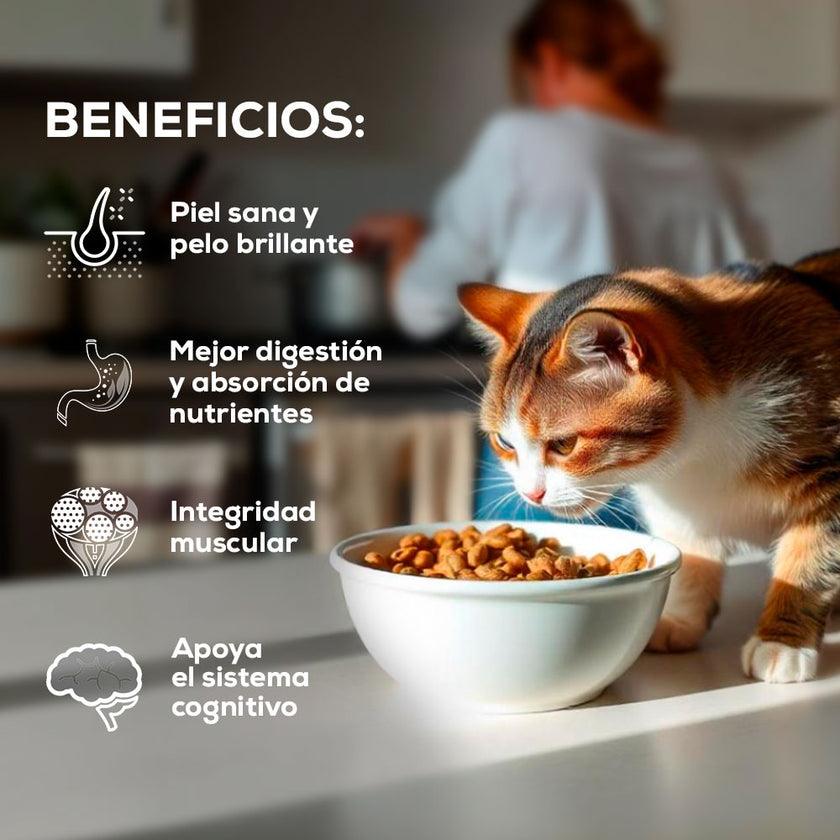 Comida para Gato Grandvita adulto