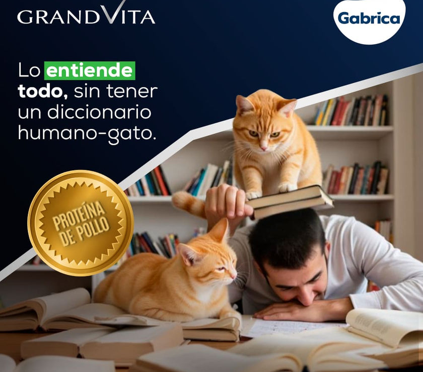 Comida para Gato Grandvita adulto