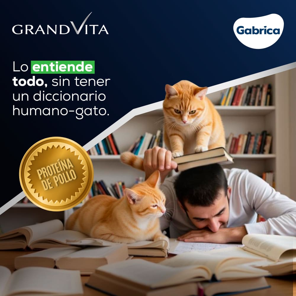 Comida para Gato Grandvita adulto