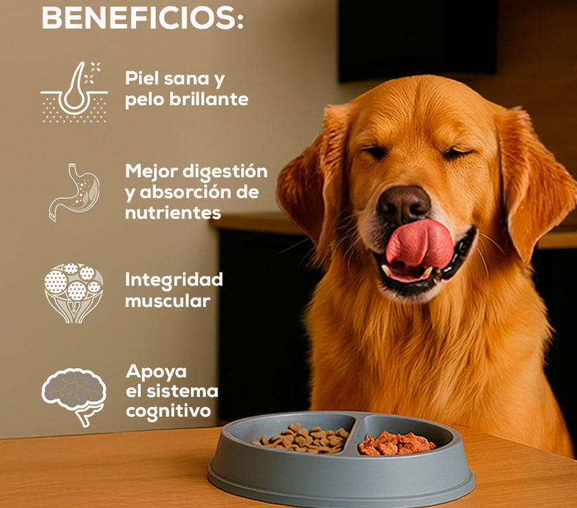 Comida Para Perro Grand Vita Adulto