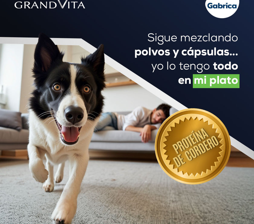 Comida Para Perro Grand Vita Adulto