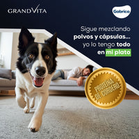Comida Para Perro Grand Vita Adulto