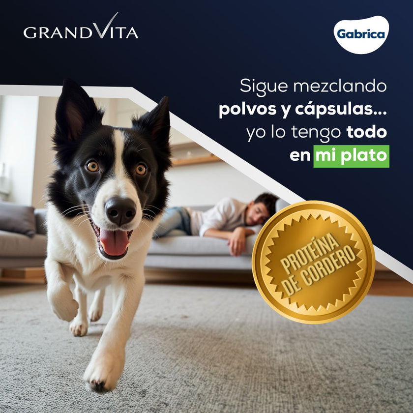 Comida Para Perro Grand Vita Adulto