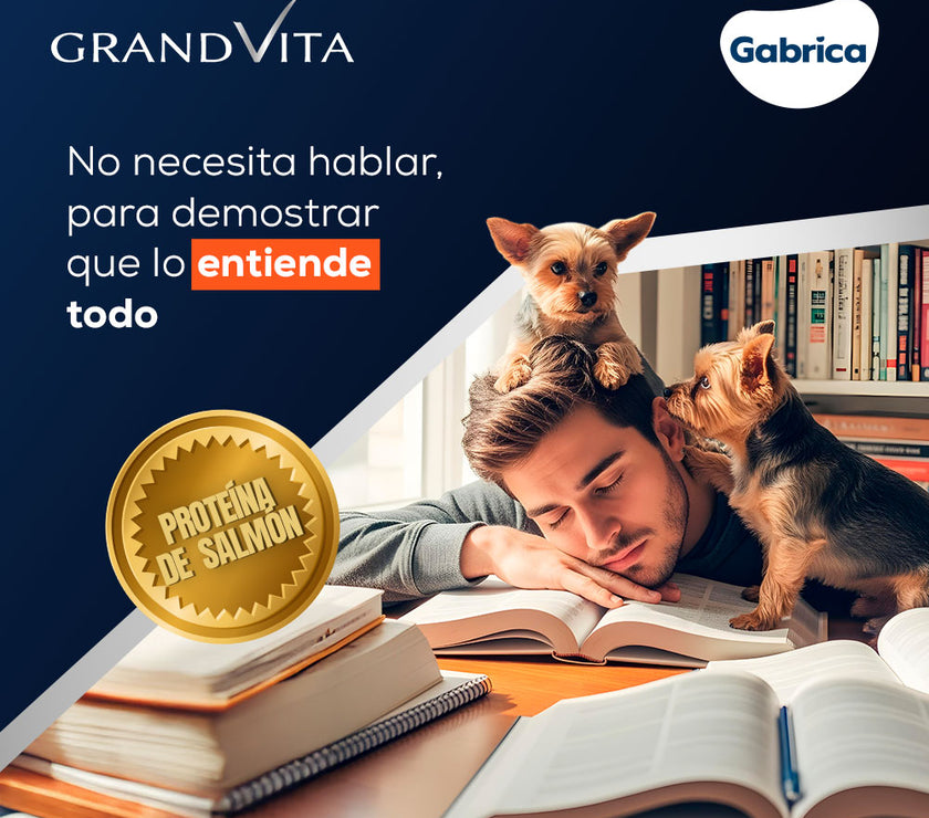 Comida para Perro Grandvita adulto raza pequeña