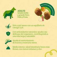 Comida para Perro Naturalis Adulto Raza Mediana Grande Pollo, Pavo y Frutas
