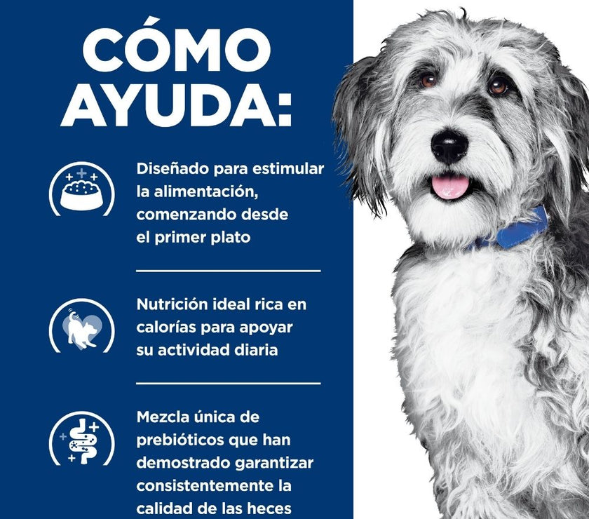 Hill's Prescription Diet Onc Care Concentrado para perro apoyo y recuperación cancer