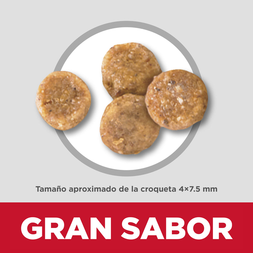 Hill's Science Diet alimentopiel y estómago sensibles perro adulto raza pequeña