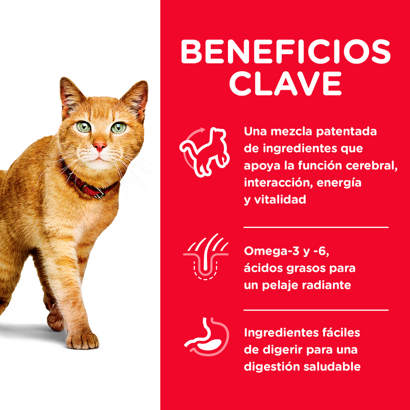 Hill's Science Diet Senior Vitality concentrado gato senior sabor pollo 3 Lb (1,4Kg)