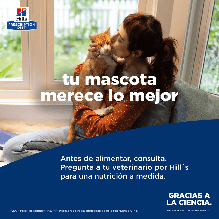 Hill's Prescription Diet Onc Care Concentrado para gato apoyo y recuperación cancer 7 Lb (3,2Kg)