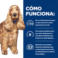 Hill's Prescription Diet z/d Comida Húmeda para perro sensibilidades alimentarias 13 Oz (369g)