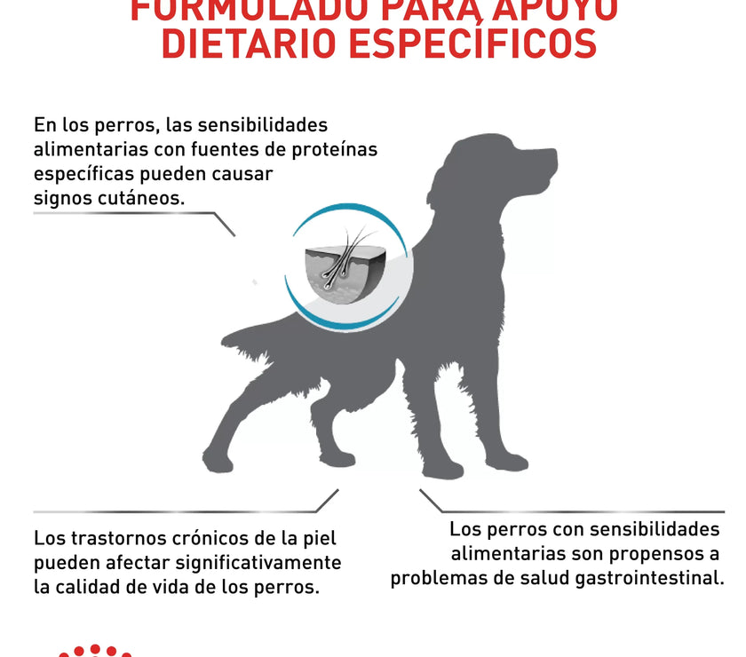 Alimento Royal Canin Vhn Anallergenic Dog 3 Kg