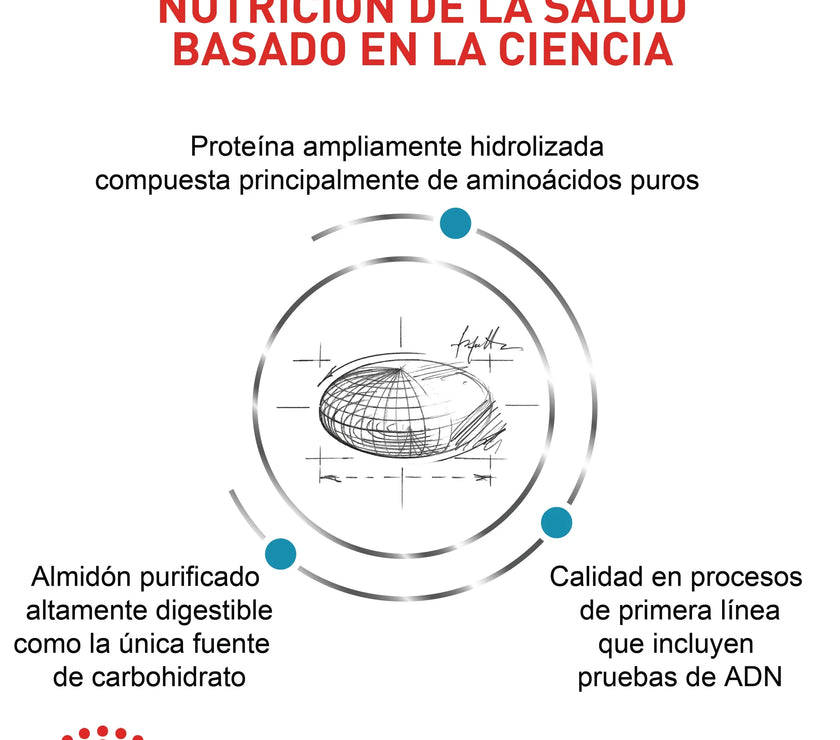 Alimento Royal Canin Vhn Anallergenic Dog 3 Kg