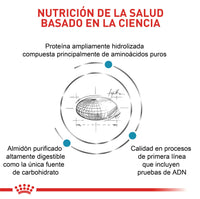Alimento Royal Canin Vhn Anallergenic Dog 3 Kg
