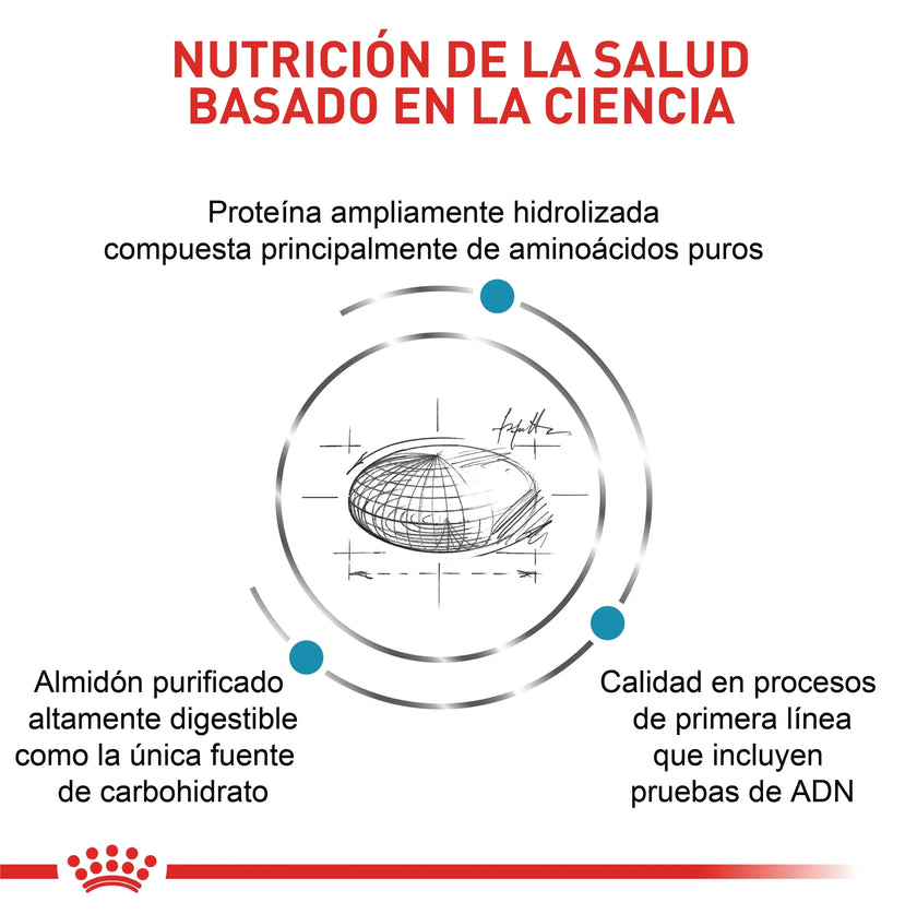 Alimento Royal Canin Vhn Anallergenic Dog 3 Kg