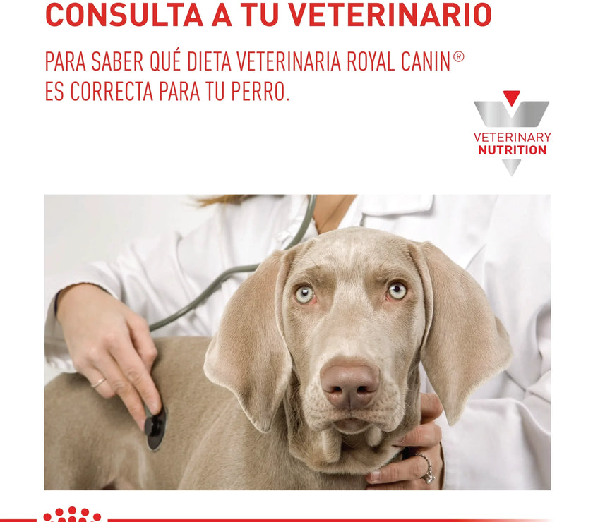 Alimento Royal Canin Vhn Anallergenic Dog 3 Kg