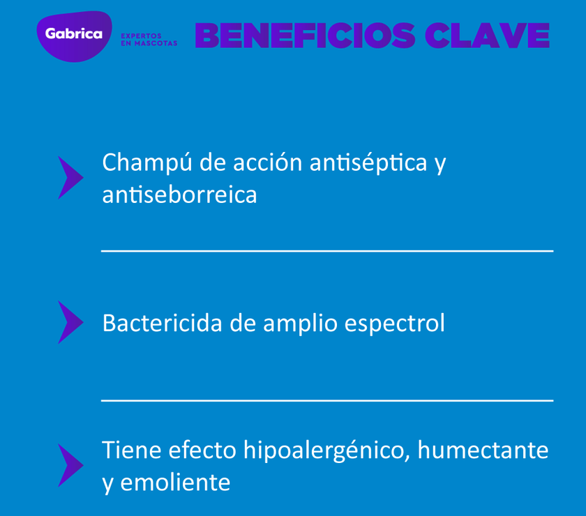 Dermoholliday Shampoo Antiséptieco Perros y Gatos 250 ml