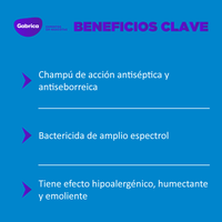 Dermoholliday Shampoo Antiséptieco Perros y Gatos 250 ml