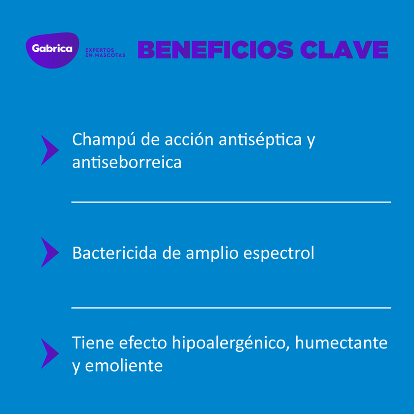 Dermoholliday Shampoo Antiséptieco Perros y Gatos 250 ml