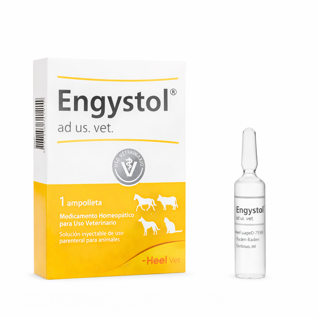 ENGYSTOL AD US VET AMPOLLA - Heel