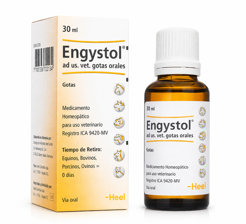 ENGYSTOL AD US VET GOTAS ORALES X 30 ML - Heel