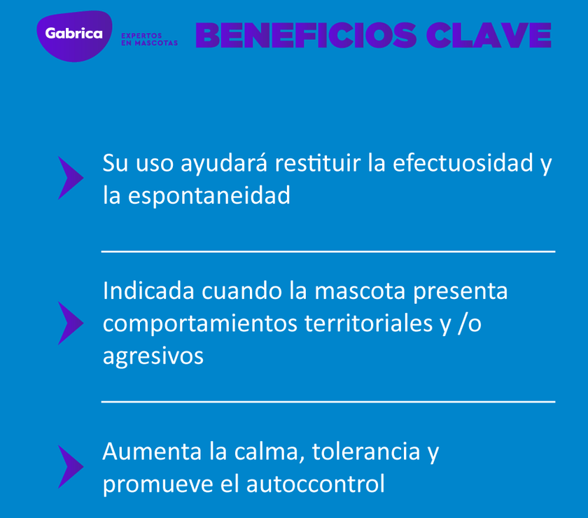 Esencia Floral Agresividad