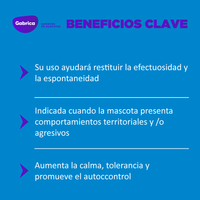 Esencia Floral Agresividad