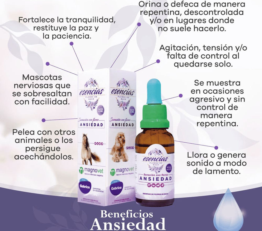 Esencias Florales de Bach Ansiedad perros y gatos