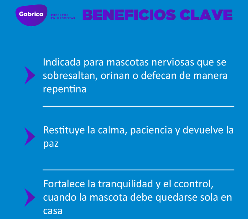 Esencias Florales de Bach Ansiedad perros y gatos