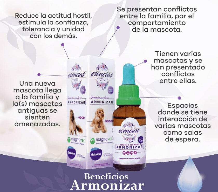 Esencia Floral Armonizar