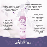 Esencia Floral Armonizar