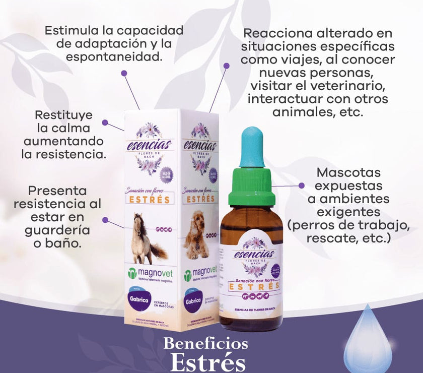 Esencia floral Stress Gotas 30 ml