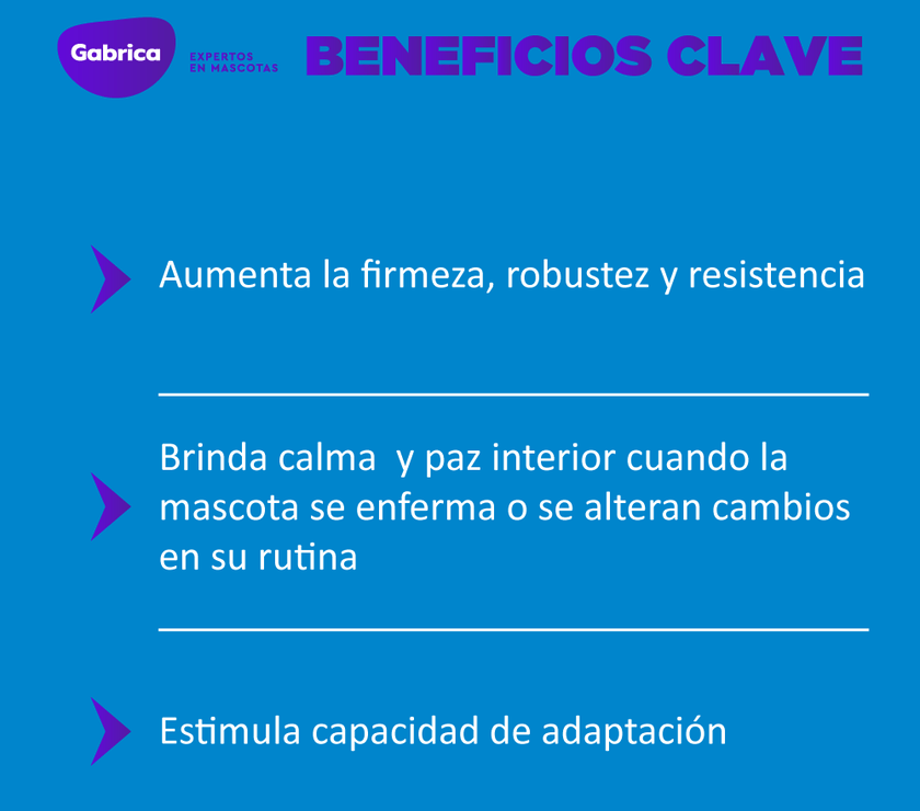 Esencia floral Stress Gotas 30 ml