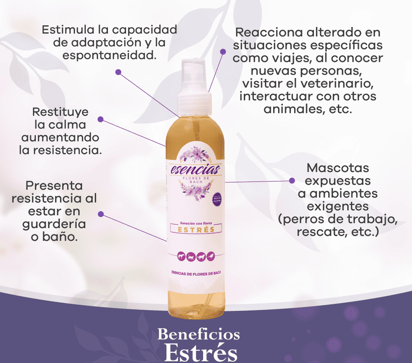 Esencia floral Stress Gotas 30 ml