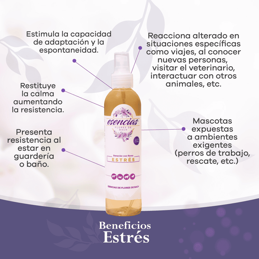 Esencia floral Stress Gotas 30 ml