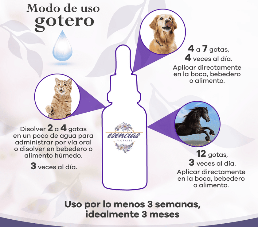Esencia floral Senior Felino Gotas 30ML