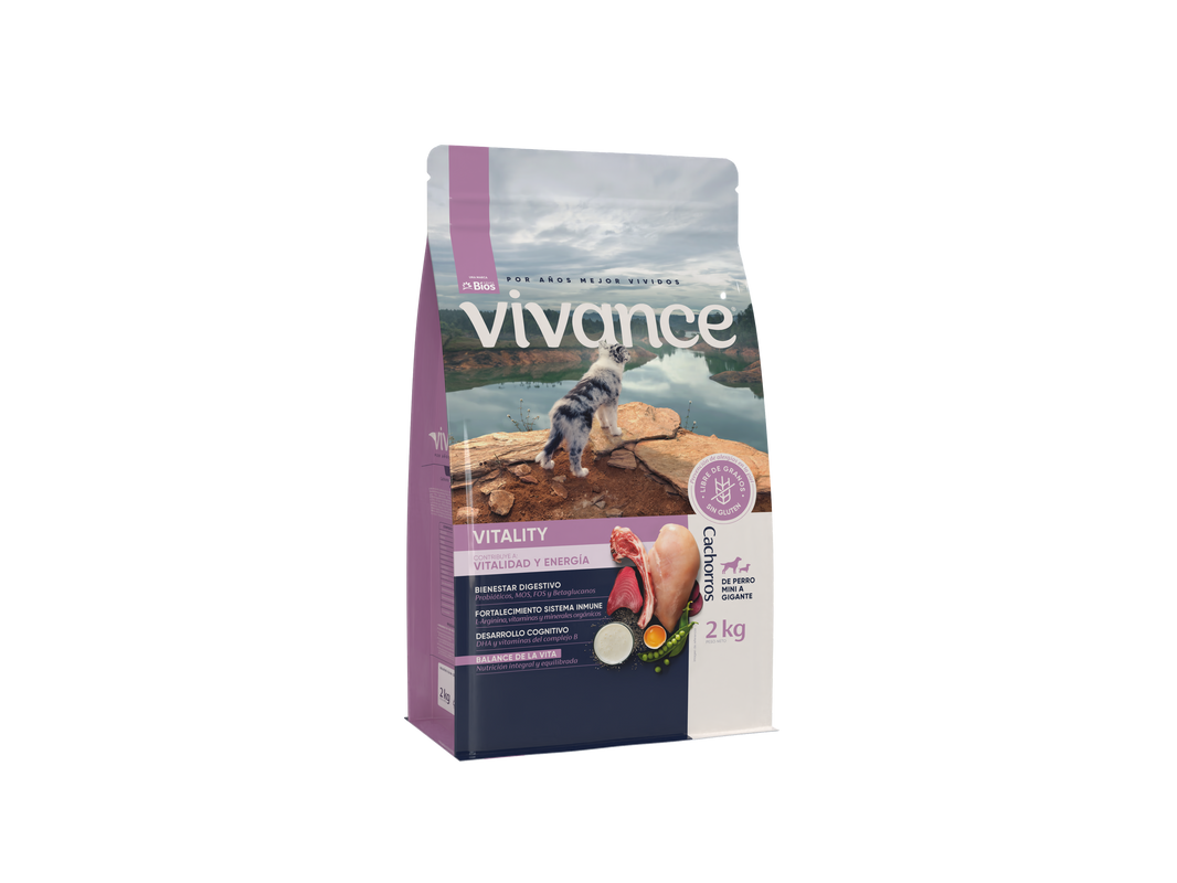 Vivance Cachorros