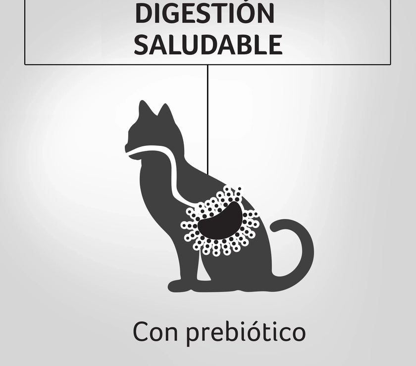 Alimento Humedo Para Gatos Sabor A Salmón  Purina Pro Plan x 85 Gr
