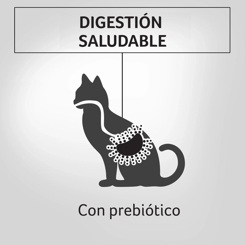 Alimento Humedo Para Gatos Sabor A Salmón  Purina Pro Plan x 85 Gr